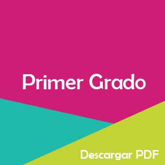 Plan De Estudios Primero De Primaria Pdf