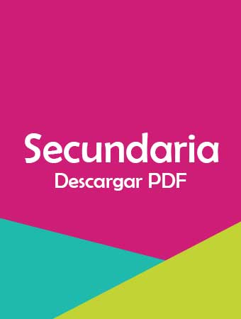 Plan Y Programa De Estudio 2017 Descargar PDF