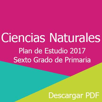 Plan Ciencias Naturales Sexto Grado Pdf