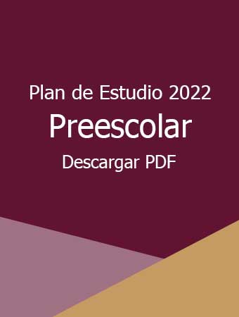 Plan Y Programa De Estudios De Preescolar Pdf