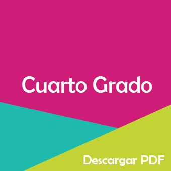 Plan De Estudios 2017 Cuarto De Primaria 【 PDF